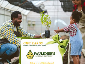 Faulkner Nursery Gift Card